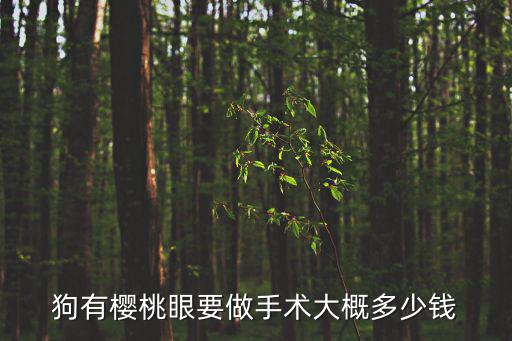 狗有櫻桃眼要做手術大概多少錢