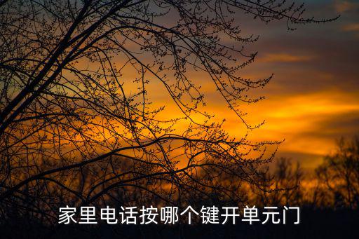 豐林樓宇對講機怎么開單元門，怎樣從里面打開樓宇對講門