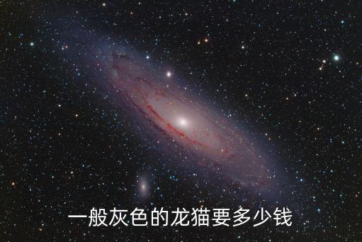 藍灰龍貓多少錢，一般灰色的龍貓要多少錢