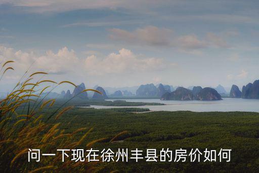 問一下現(xiàn)在徐州豐縣的房價如何
