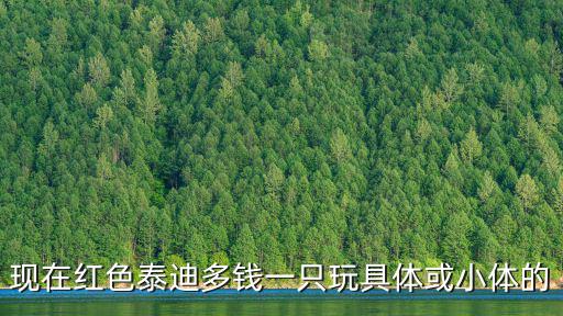 現在紅色泰迪多錢一只玩具體或小體的