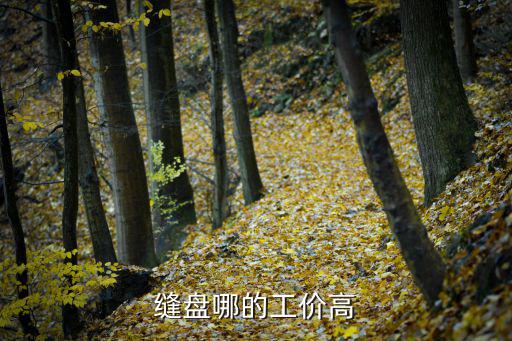 縫盤(pán)哪的工價(jià)高