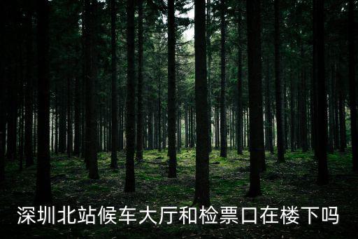 深圳北站候車大廳和檢票口在樓下嗎