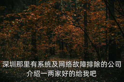 深圳那里有系統(tǒng)及網(wǎng)絡(luò)故障排除的公司介紹一兩家好的給我吧