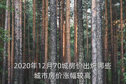 2020年12月70城房?jī)r(jià)出爐哪些城市房?jī)r(jià)漲幅較高