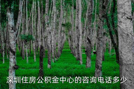 深圳住房公積金中心的咨詢電話多少