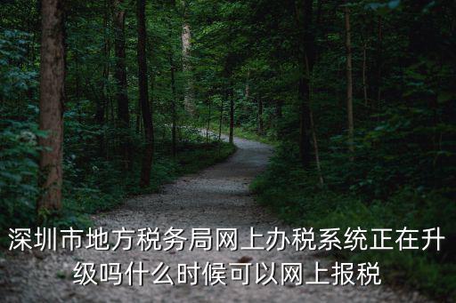 怎么在深圳市稅務局預約辦稅，深圳市地方稅務局網上辦稅系統正在升級嗎什么時候可以網上報稅