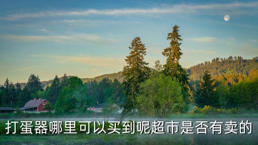 深圳哪里有賣打蛋器，打半自動蛋器在實(shí)體店買哪有