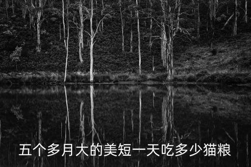 五個多月大的美短一天吃多少貓糧