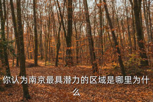 南京奧南哪個小區房價最低，關于在南京買房