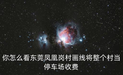 你怎么看東莞鳳凰崗村畫線將整個(gè)村當(dāng)停車場(chǎng)收費(fèi)
