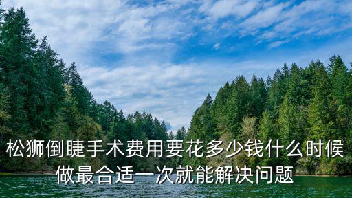 松獅倒睫手術費用要花多少錢什么時候做最合適一次就能解決問題