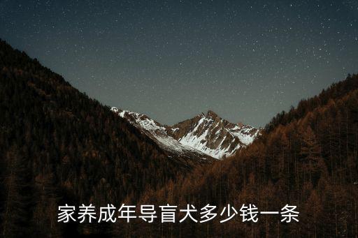 家養成年導盲犬多少錢一條