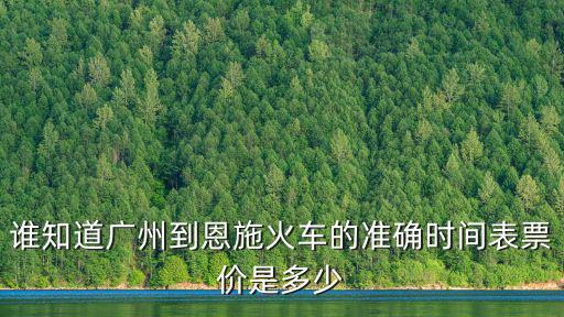誰知道廣州到恩施火車的準(zhǔn)確時(shí)間表票價(jià)是多少