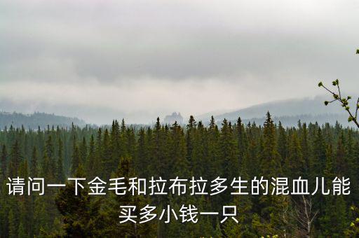 請問一下金毛和拉布拉多生的混血兒能買多小錢一只