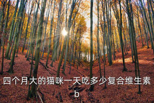 四個月大的貓咪一天吃多少復合維生素b