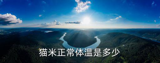 貓米正常體溫是多少