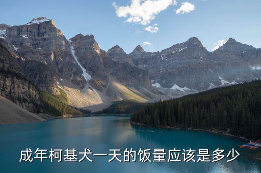 成年柯基犬一天的飯量應該是多少