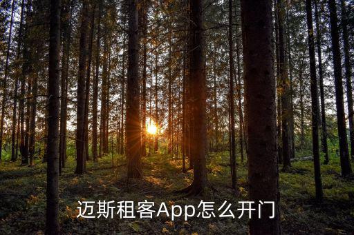 邁斯租客App怎么開門