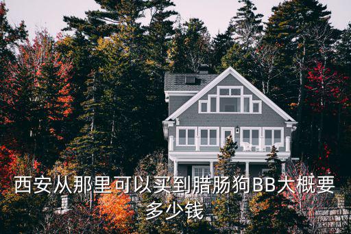 西安從那里可以買到臘腸狗BB大概要多少錢