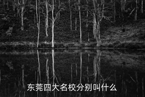 東莞四大名校分別叫什么