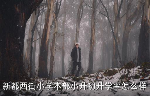 新都西街小學本部小升初升學率怎么樣