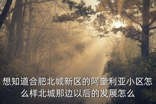 阿奎利亞哪個小區房價最好，在合肥買房是在阿奎利亞好還是在市內好比較糾結求好建議