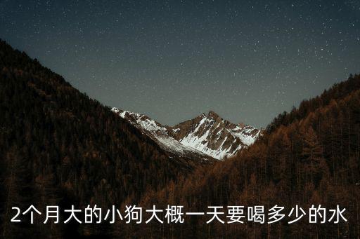 2個月大的小狗大概一天要喝多少的水