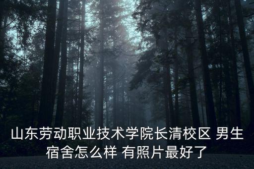東莞超盈宿舍圖片，東莞市金鳳凰學(xué)校初中一間宿舍有幾人住