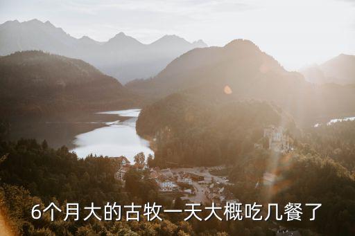 6個月邊牧一頓吃多少，6個月大的古牧一天大概吃幾餐了