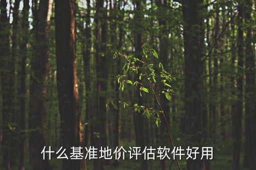 什么基準地價評估軟件好用