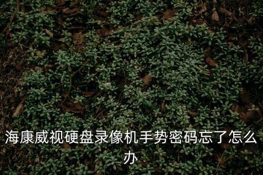 海康威視錄像機密碼忘記了怎么辦，你好海康錄像忘記密碼了
