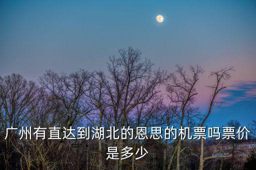 廣州有直達到湖北的恩思的機票嗎票價是多少