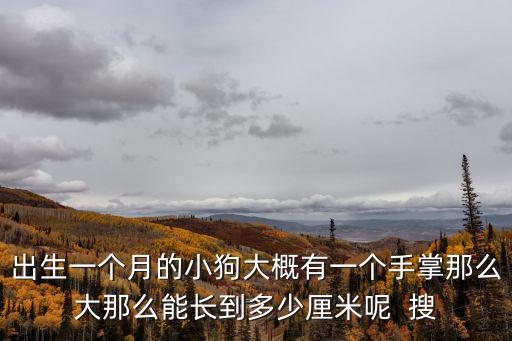 出生一個月的小狗大概有一個手掌那么大那么能長到多少厘米呢  搜