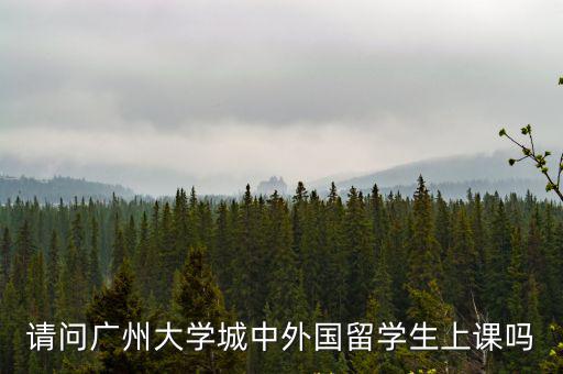 請(qǐng)問(wèn)廣州大學(xué)城中外國(guó)留學(xué)生上課嗎