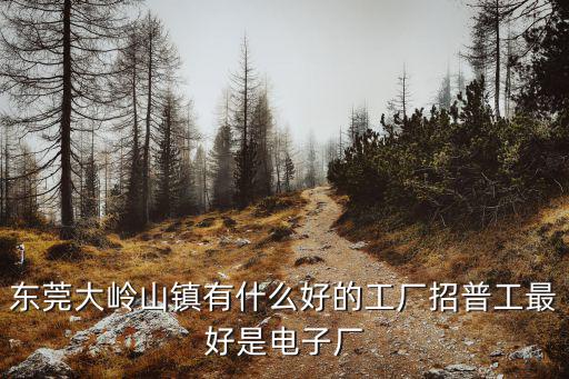 東莞大嶺山鎮(zhèn)有什么好的工廠招普工最好是電子廠