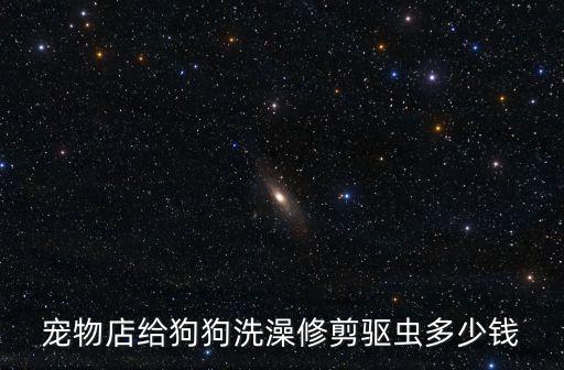 寵物店給狗狗洗澡修剪驅蟲多少錢