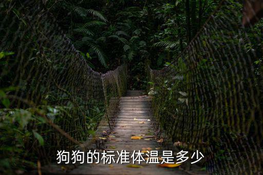 一歲的狗狗正常體溫多少正常，狗狗的標(biāo)準(zhǔn)體溫是多少