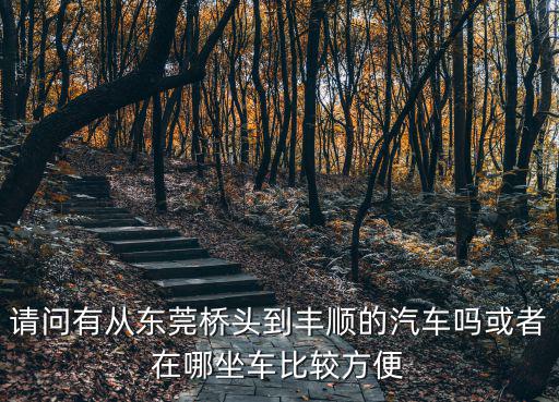 請問有從東莞橋頭到豐順的汽車嗎或者在哪坐車比較方便