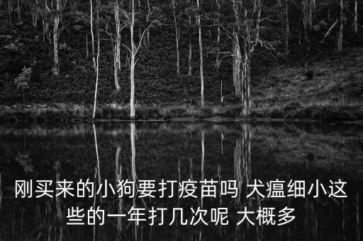 剛買來的小狗要打疫苗嗎 犬瘟細小這些的一年打幾次呢 大概多