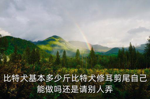 比特犬剪耳朵多少錢，比特犬最小幾個月可以剪耳