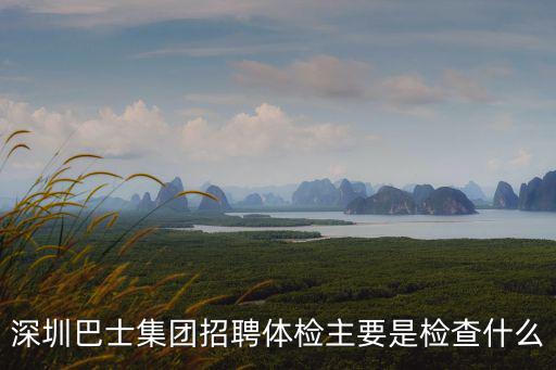 深圳市巴士企業集團招聘，深圳巴士現在招聘乘務員嗎知道的朋友麻煩提供一下它們的聯系方