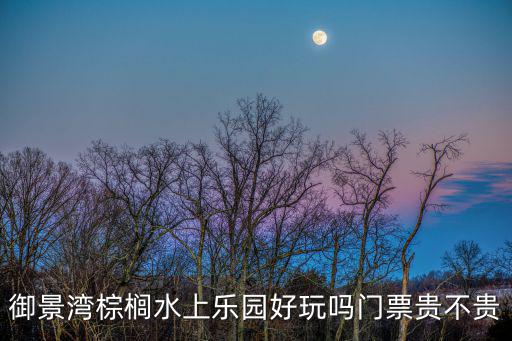 御景灣棕櫚水上樂園好玩嗎門票貴不貴