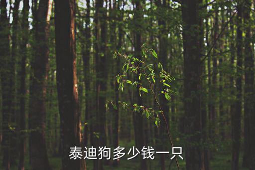 泰迪狗多少錢一只