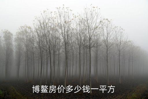博鰲房?jī)r(jià)多少錢(qián)一平方