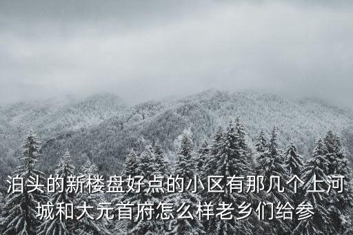 泊頭的新樓盤好點(diǎn)的小區(qū)有那幾個上河城和大元首府怎么樣老鄉(xiāng)們給參