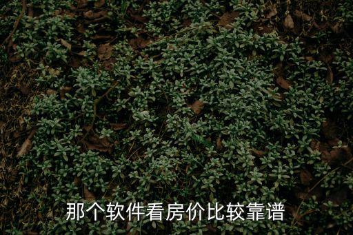 那個軟件看房價比較靠譜
