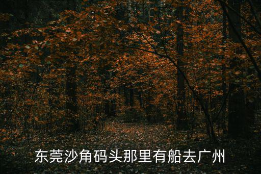 東莞沙角碼頭那里有船去廣州