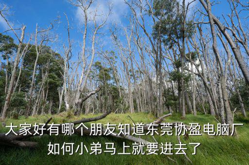 東莞超盈工廠好嗎，東莞市區這邊有哪個好廠