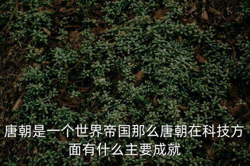 深圳金轅科技公司，唐宋時期的主要科技成就有哪些